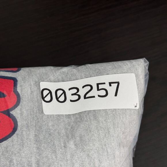 Gracie Abrams Hoodie Small The Secret Of Us Tour Concert Merch Red Star Soft - Picture 9 of 9